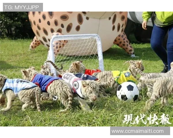动物世界的足球明星们如何在绿茵场上展现非凡才华与魅力