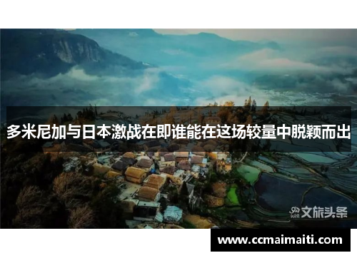 多米尼加与日本激战在即谁能在这场较量中脱颖而出